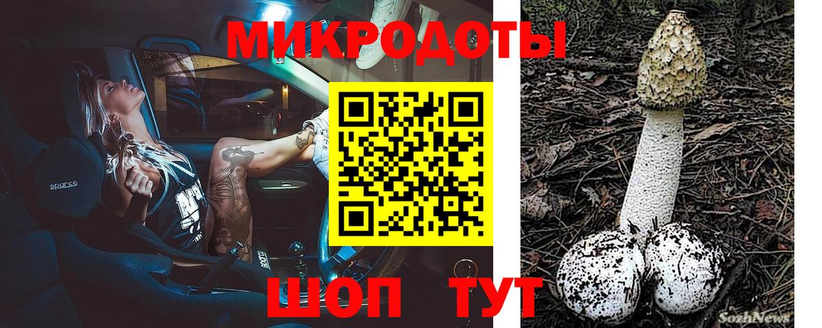 Галлюциногенные грибы ЛСД  Псилоцибиновые грибы ЛСД  купить наркотики сайты  Строитель  Вход с VPN 