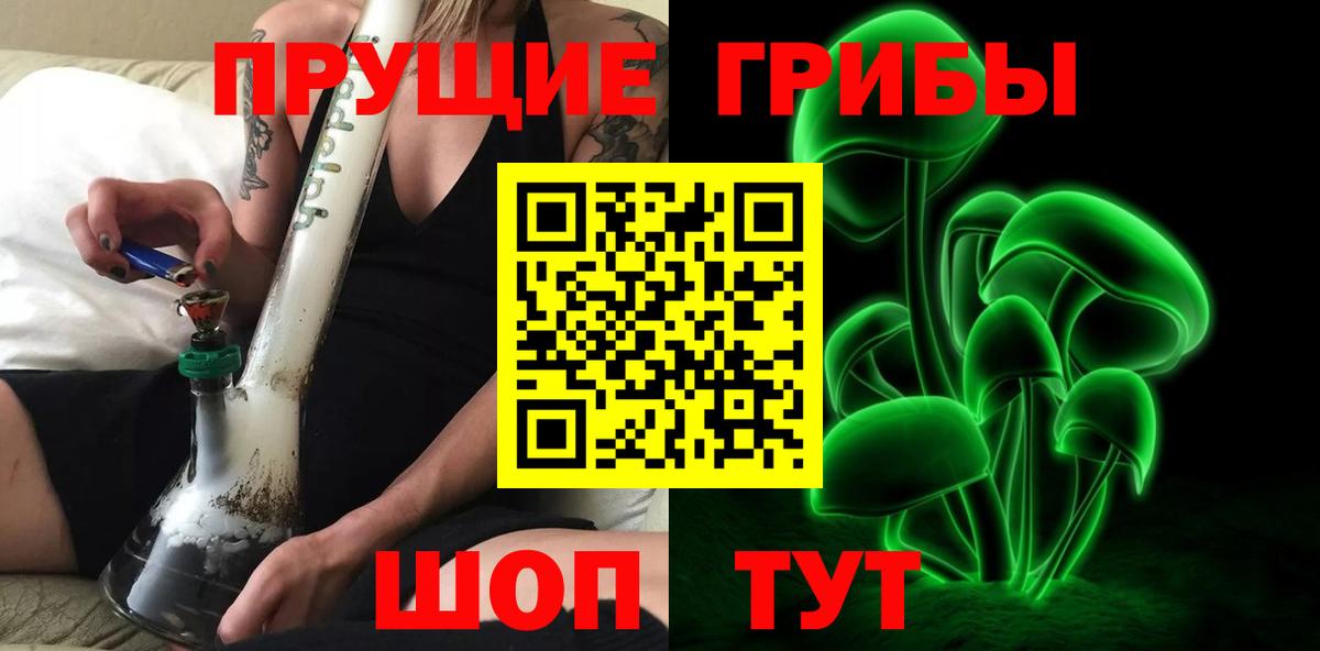 Псилоцибиновые грибы GOLDEN TEACHER Строитель